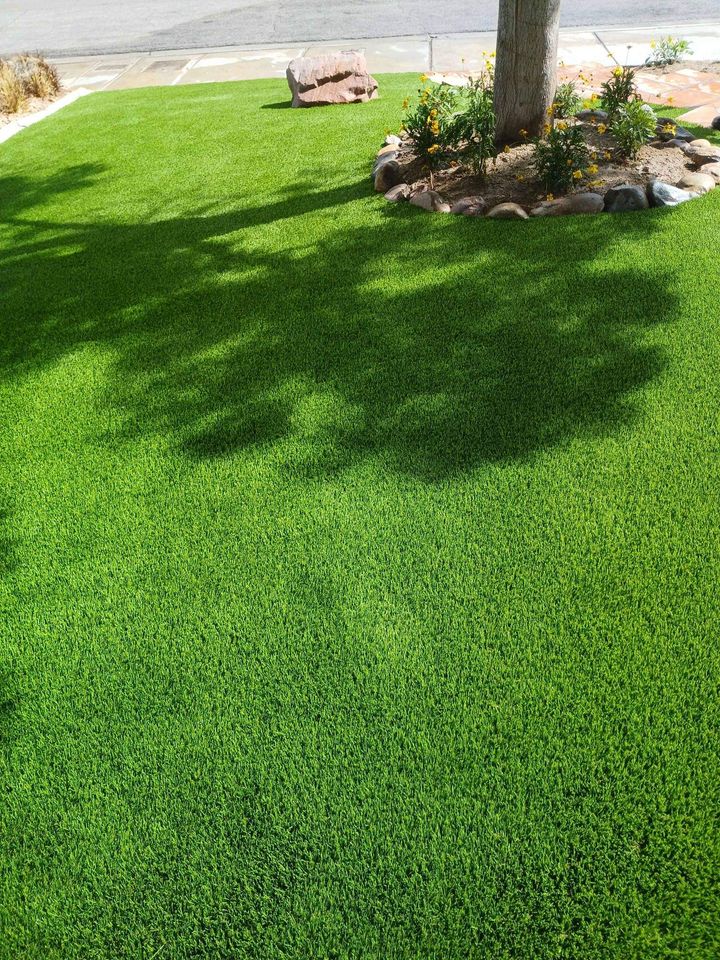 A neatly manicured green lawn with the shadow of a tree, flowerbeds with rocks at the base of the tree, and a sidewalk visible in the background.