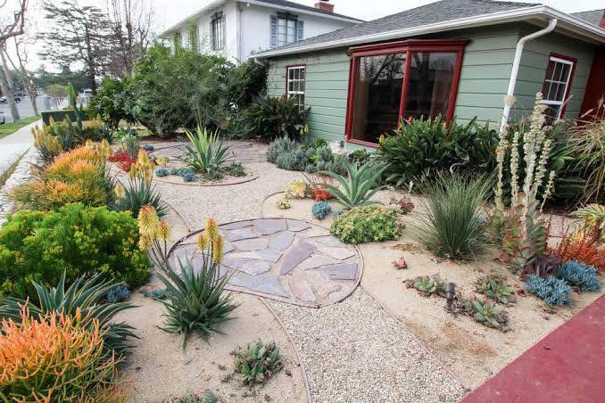 A modern front yard with a drought-tolerant landscape featuring various succulents, agaves, and desert plants arranged around a circular stone path—professionally designed by a Turf Installer Scottsdale AZ—with a green house and large windows in the background.